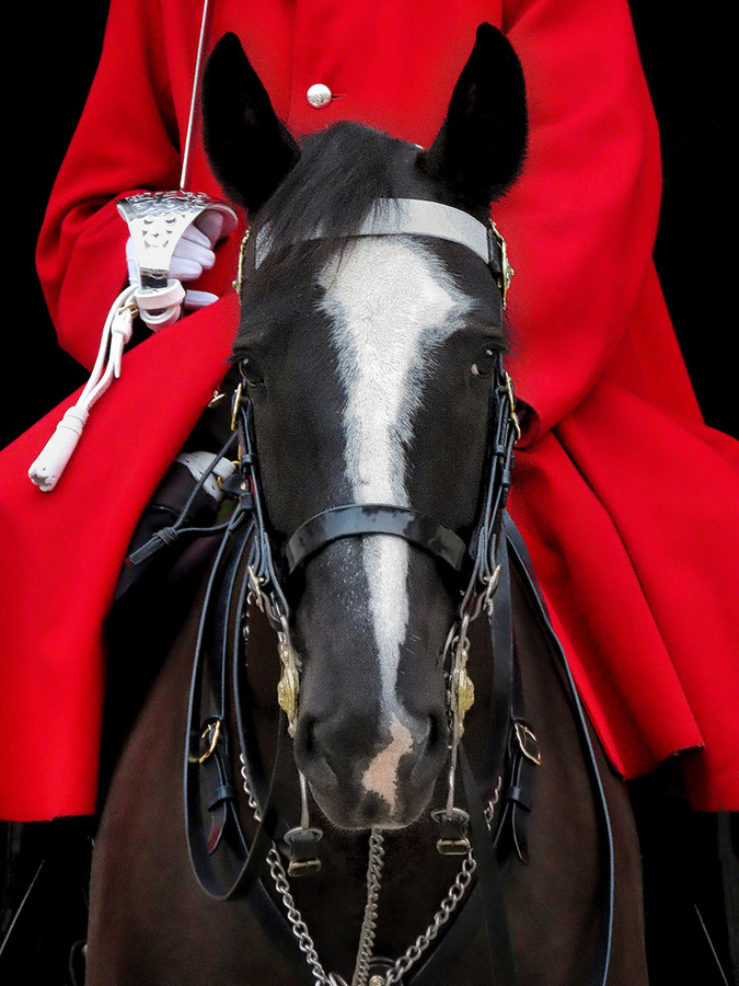 On Guard - Amanda Bancroft